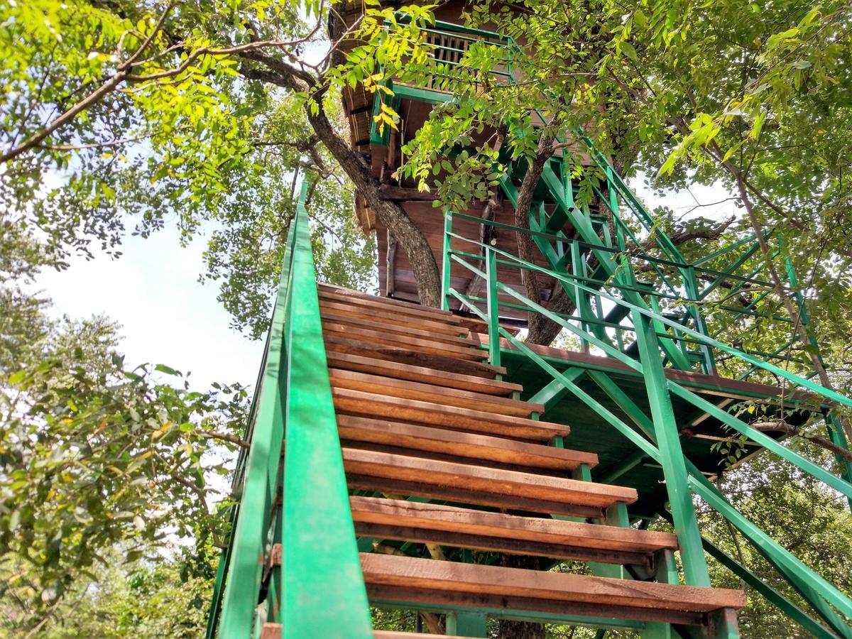 Wildescape Polonnaruwa Vila Exterior foto